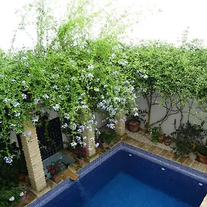 https://casa-la-loba.es-andalucia.com